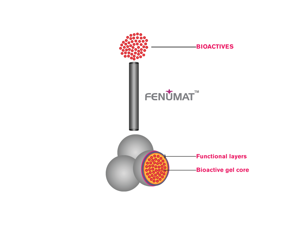 fenumat